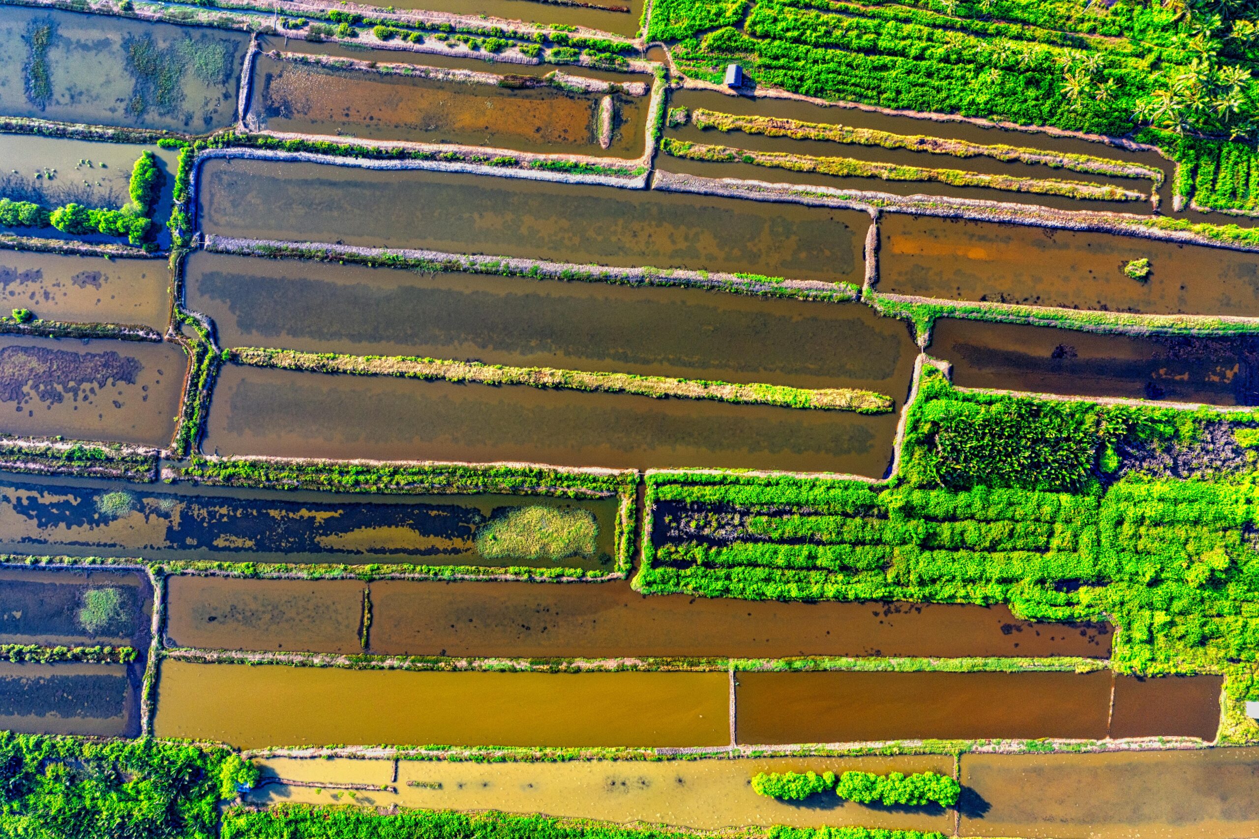 Stunning aerial shot of rural farmland and greenery in Banten, Indonesia.